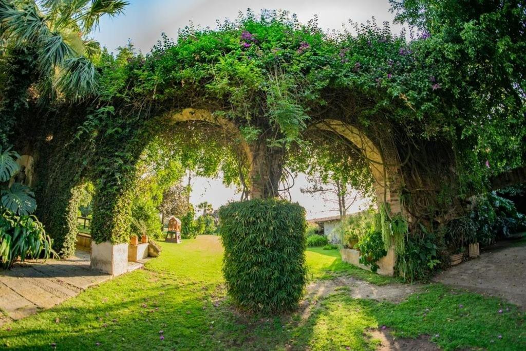 Finca San Javier El Arenal  Exteriér fotografie